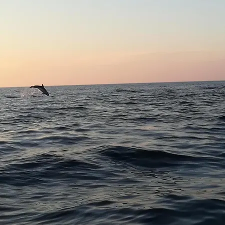 Olivia Valkanela App 2 Apartmán *