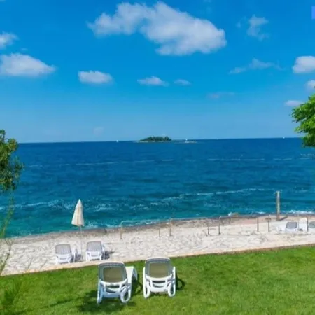 Olivia Valkanela App 2