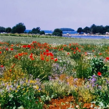 Olivia Valkanela App 2 Apartament *