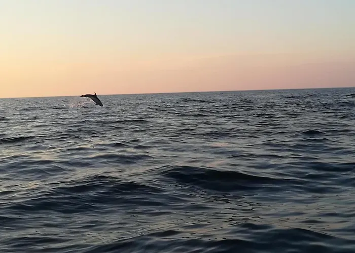 Olivia Valkanela App 2 Appartement *