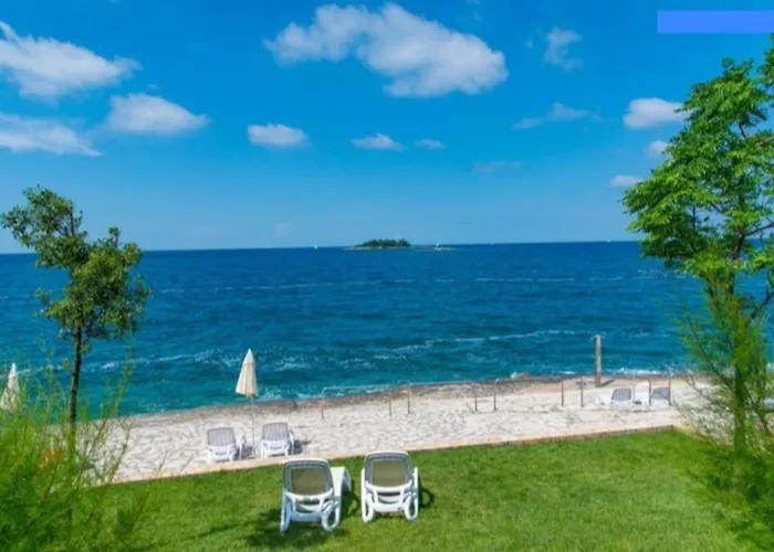 Olivia Valkanela App 2