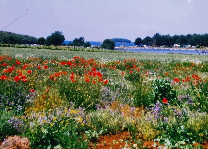 Olivia Valkanela App 2 Appartement *